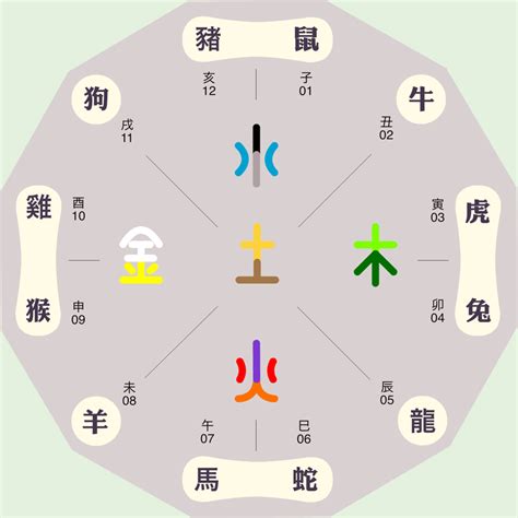 未五行|八字十二地支详解——未